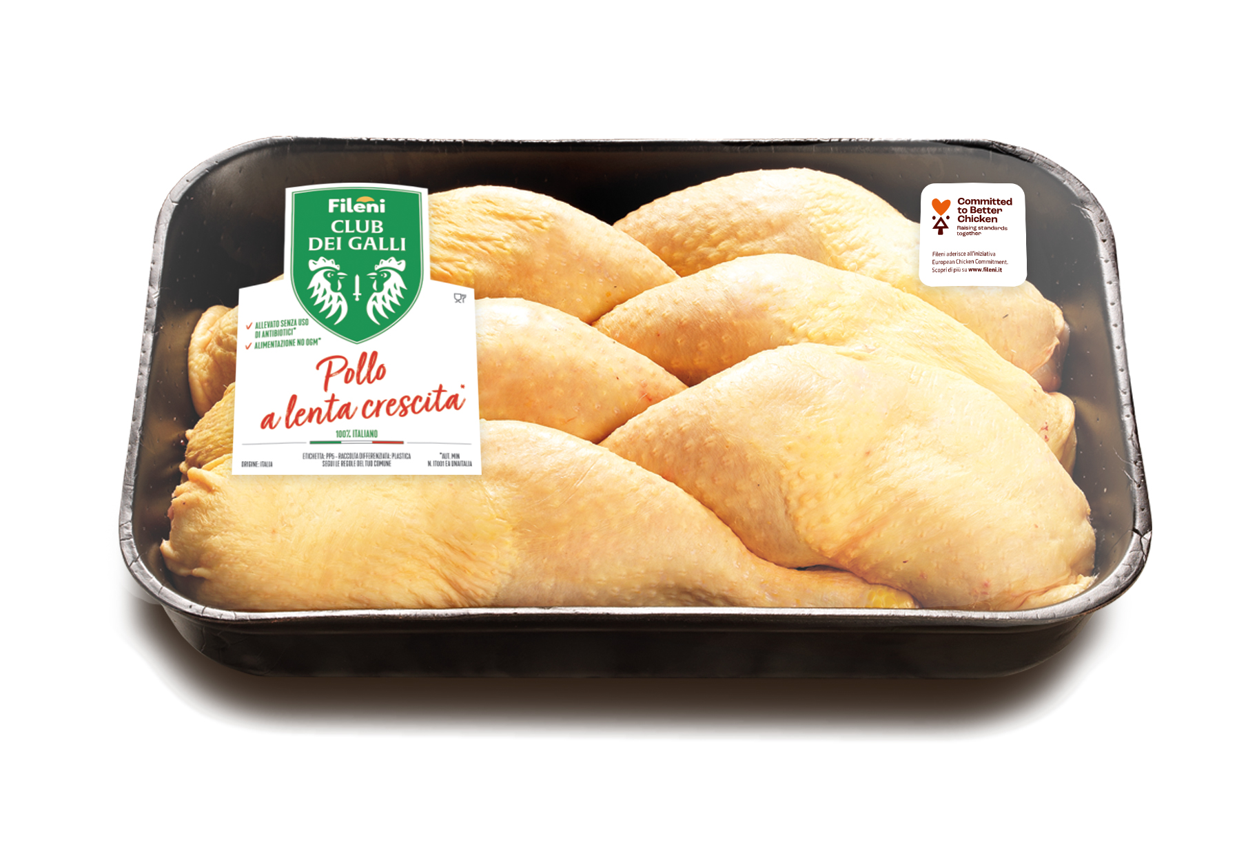 Coscia di pollo